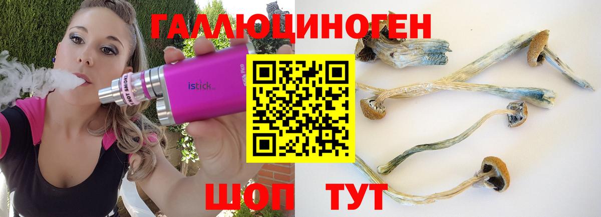 где купить наркотик  Псилоцибиновые грибы Magic Shrooms  Лабинск  Вход с VPN  Галлюциногенные грибы мицелий 